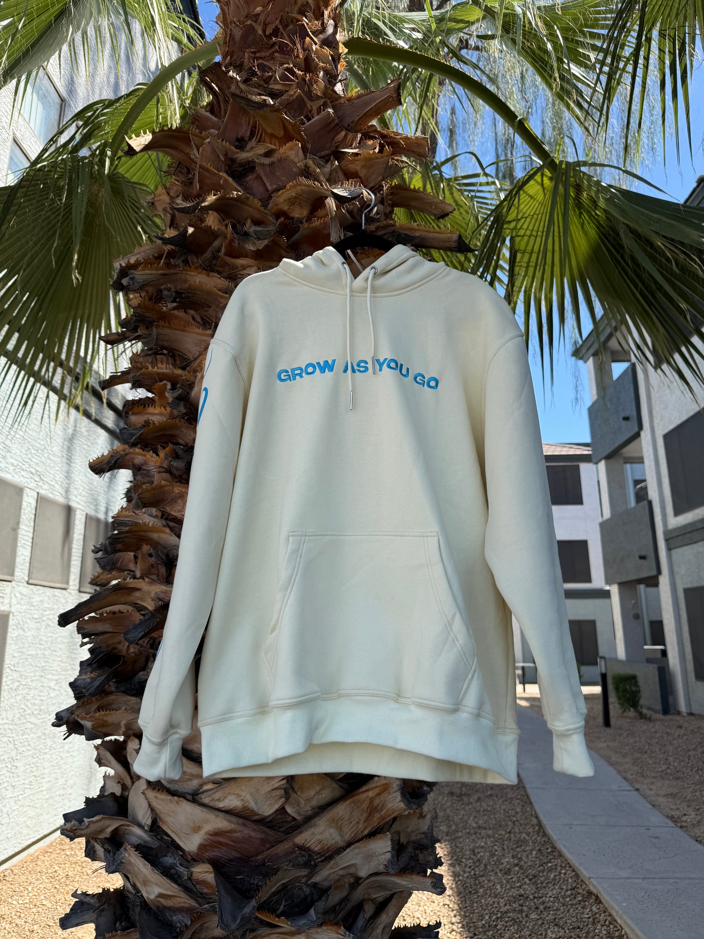 Pre-Order "Grow As You Go" Satin-Lined Hoodie
