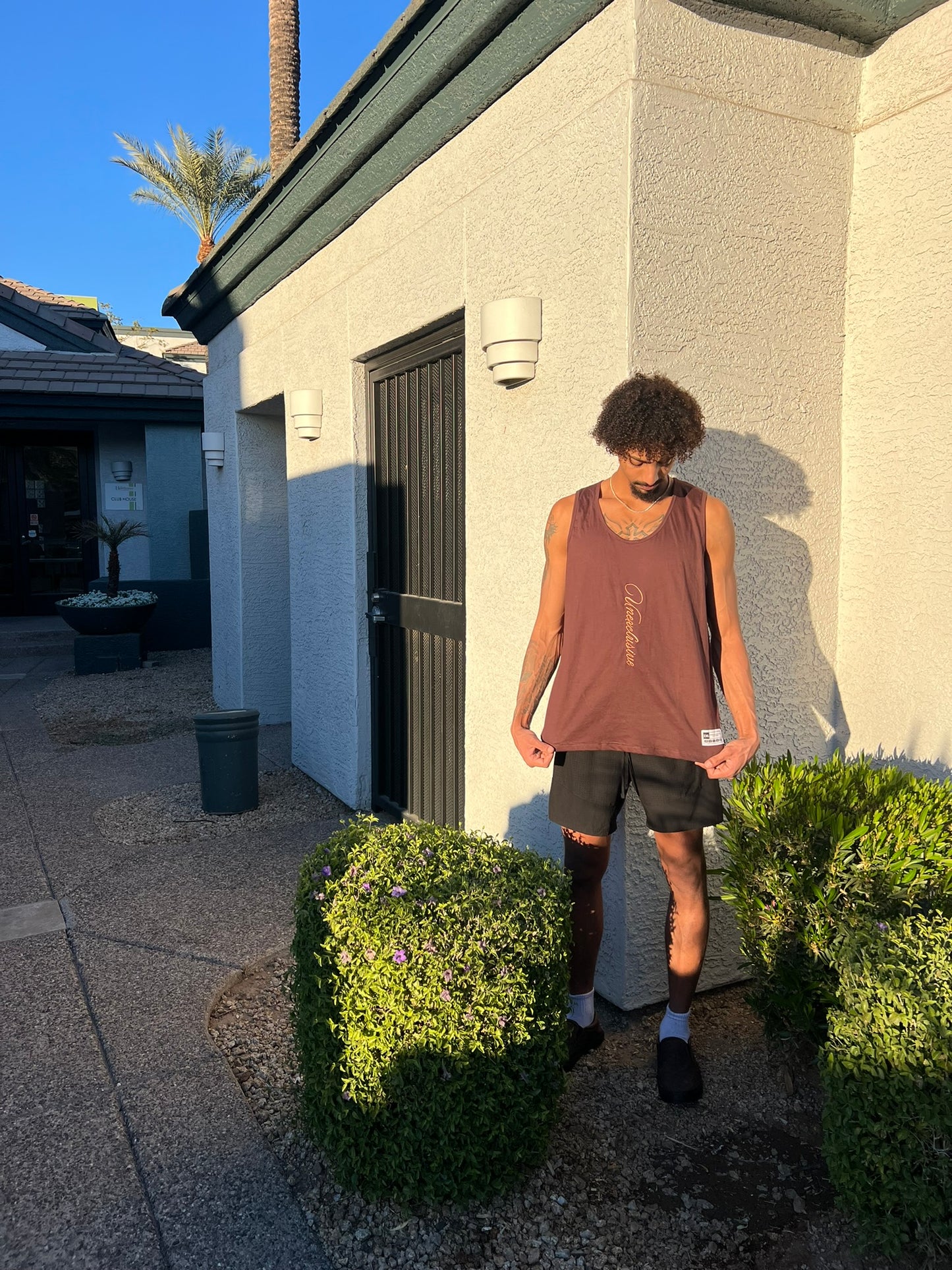 Brown Beater