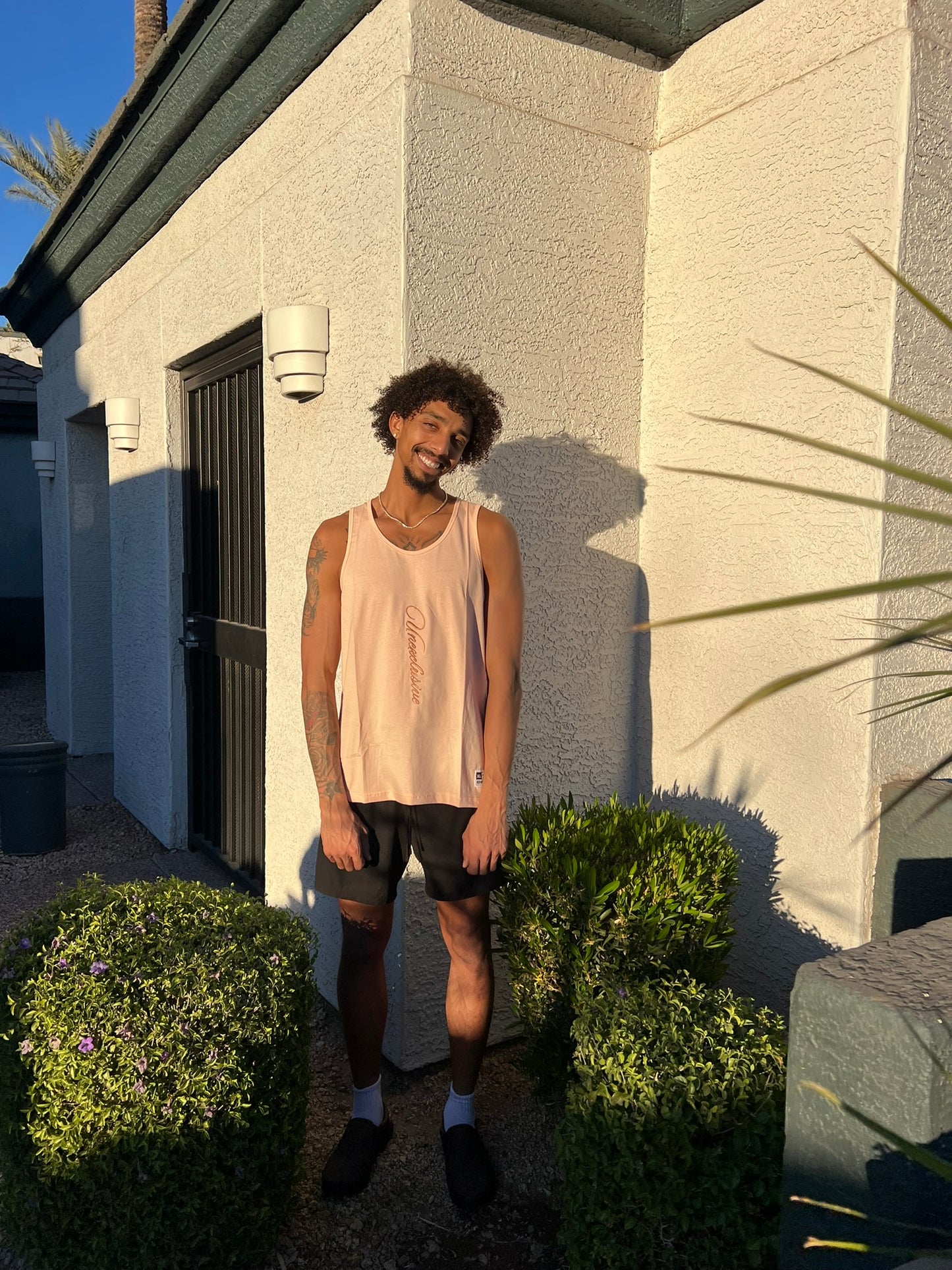 Salmon Pink Beater
